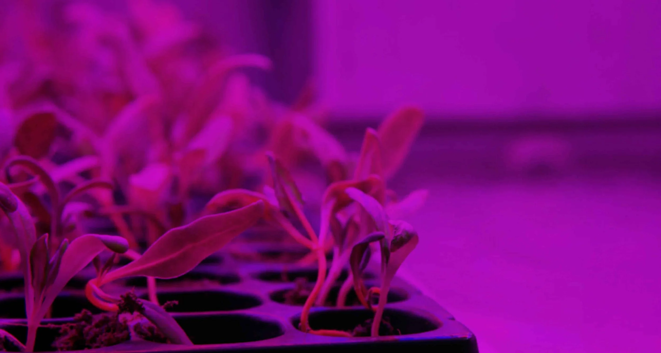 Web_S Landing_New Pillars-07.jpg